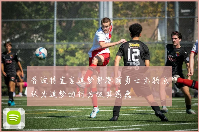 香波特直言追梦禁赛前勇士无弱点认为追梦的行为极其愚蠢