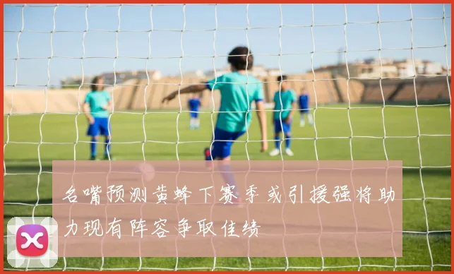 名嘴预测黄蜂下赛季或引援强将助力现有阵容争取佳绩
