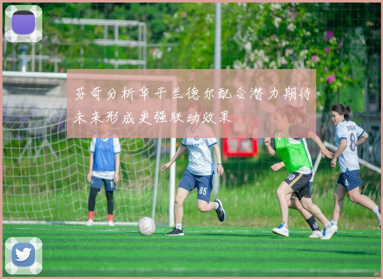 芬奇分析华子兰德尔配合潜力期待未来形成更强联动效果